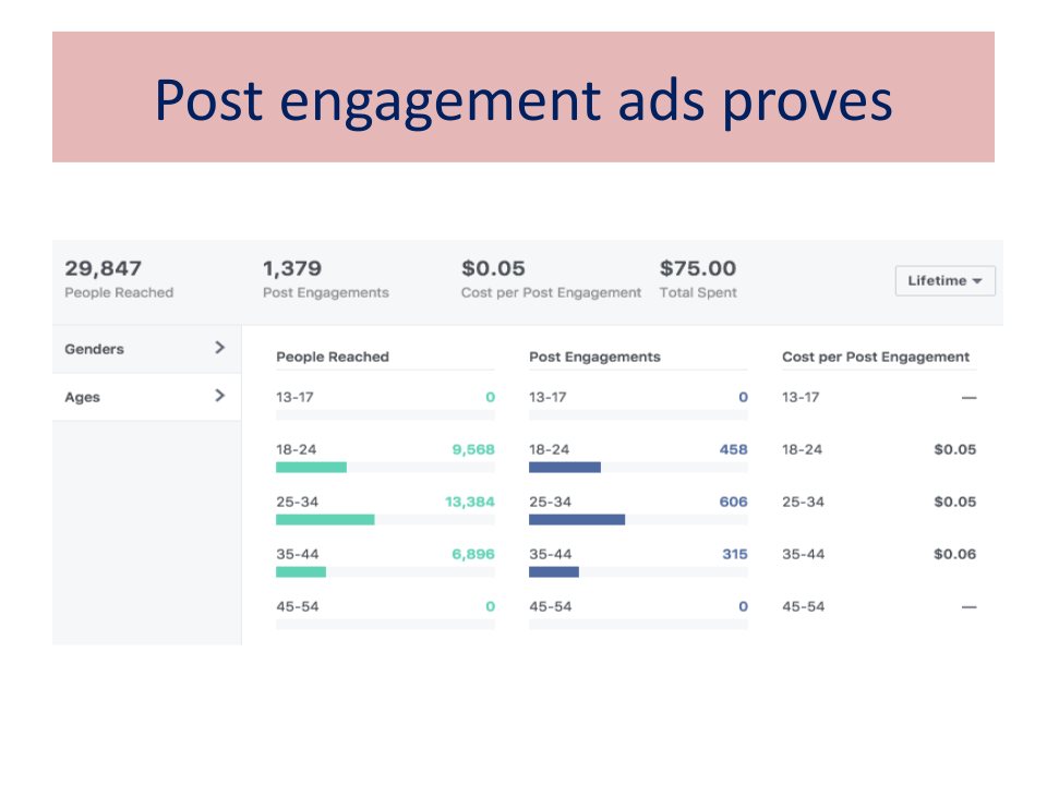 Meta Ads engagement breakdown: 29,847 people reached, 1,379 post engagements at $0.05 each, split by age band
